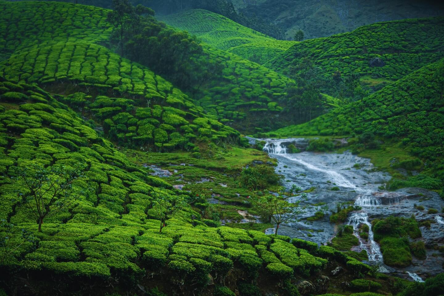 2N Awesome Munnar